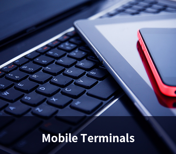 Mobile Terminals